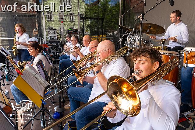 Fotto Laudi_donaujazz-33.jpg